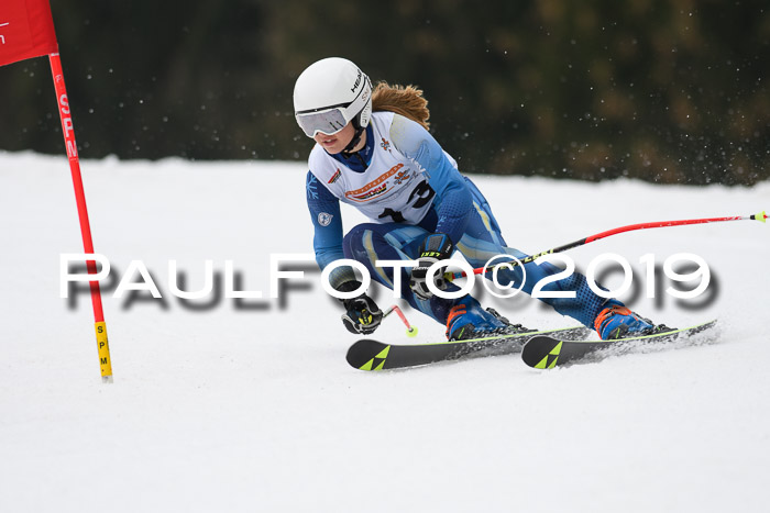 DSV Deutscher Schülercup U12 Finale 2019, Race Cross 02.03.2019
