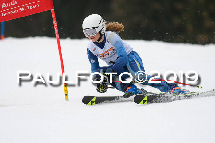 DSV Deutscher Schülercup U12 Finale 2019, Race Cross 02.03.2019