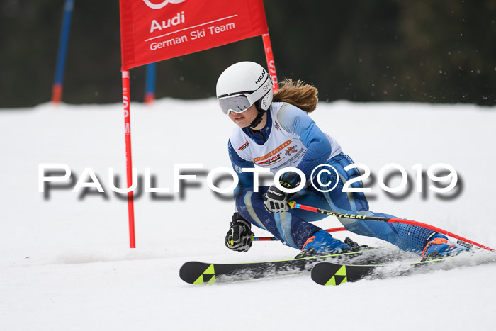 DSV Deutscher Schülercup U12 Finale 2019, Race Cross 02.03.2019