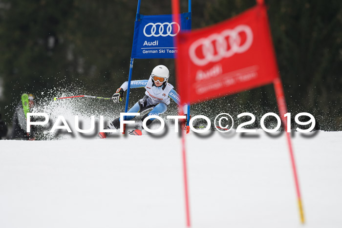 DSV Deutscher Schülercup U12 Finale 2019, Race Cross 02.03.2019