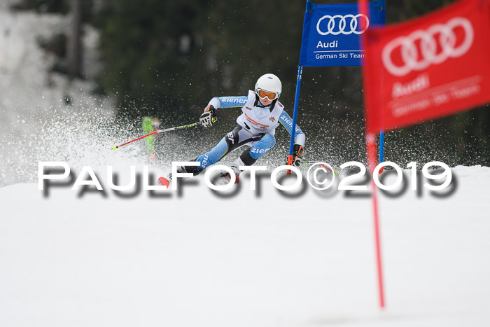 DSV Deutscher Schülercup U12 Finale 2019, Race Cross 02.03.2019