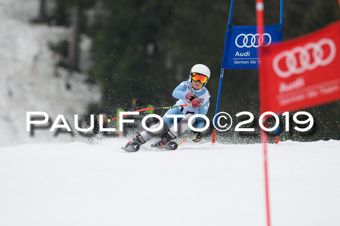 DSV Deutscher Schülercup U12 Finale 2019, Race Cross 02.03.2019