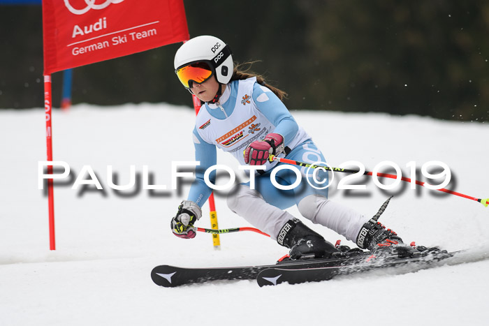 DSV Deutscher Schülercup U12 Finale 2019, Race Cross 02.03.2019