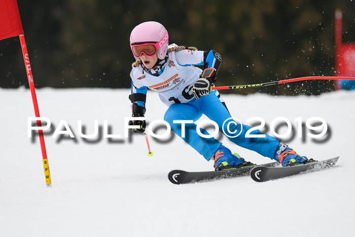 DSV Deutscher Schülercup U12 Finale 2019, Race Cross 02.03.2019