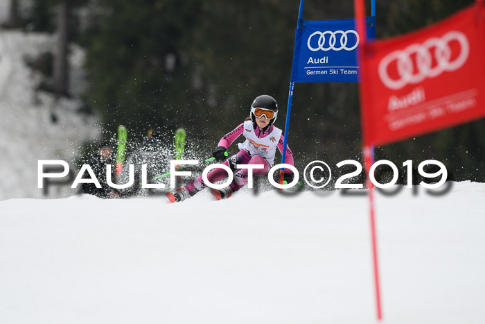 DSV Deutscher Schülercup U12 Finale 2019, Race Cross 02.03.2019