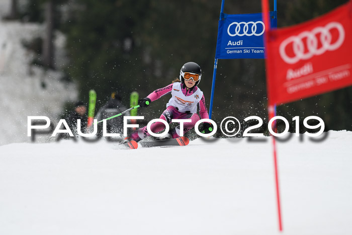 DSV Deutscher Schülercup U12 Finale 2019, Race Cross 02.03.2019