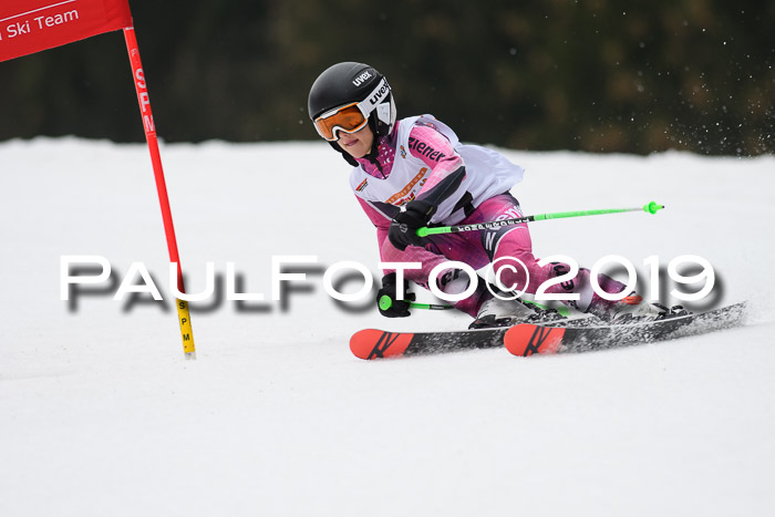DSV Deutscher Schülercup U12 Finale 2019, Race Cross 02.03.2019