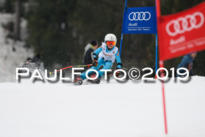 DSV Deutscher Schülercup U12 Finale 2019, Race Cross 02.03.2019