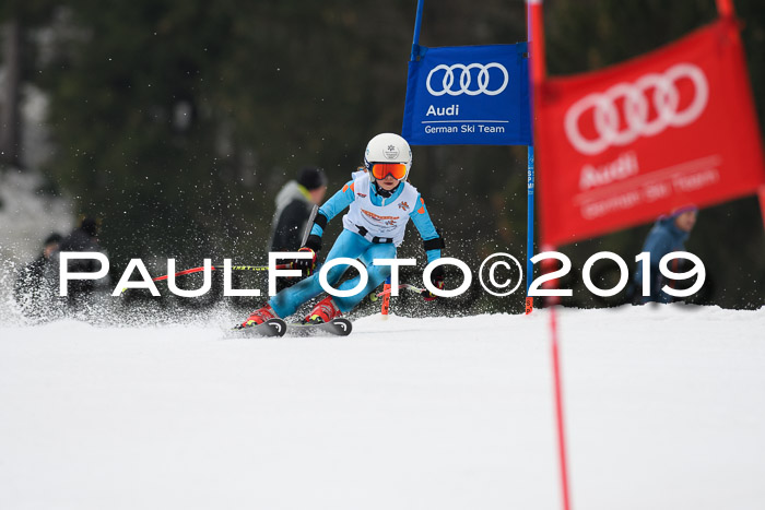 DSV Deutscher Schülercup U12 Finale 2019, Race Cross 02.03.2019