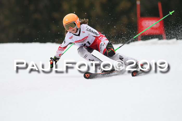 DSV Deutscher Schülercup U12 Finale 2019, Race Cross 02.03.2019