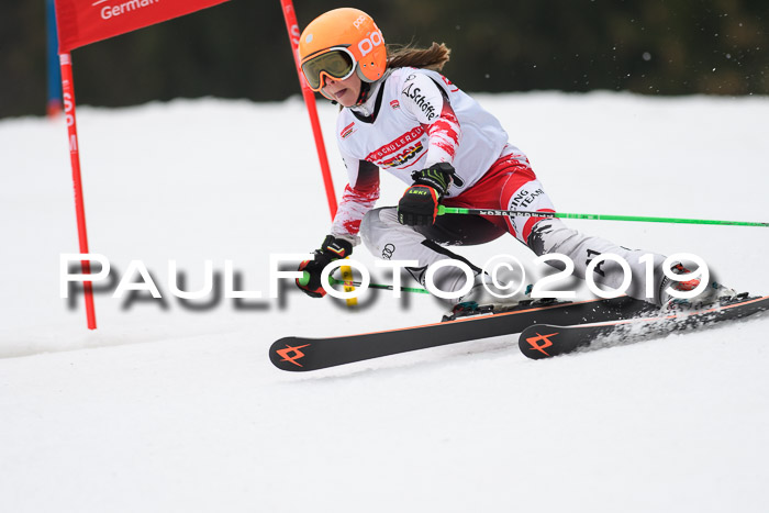 DSV Deutscher Schülercup U12 Finale 2019, Race Cross 02.03.2019