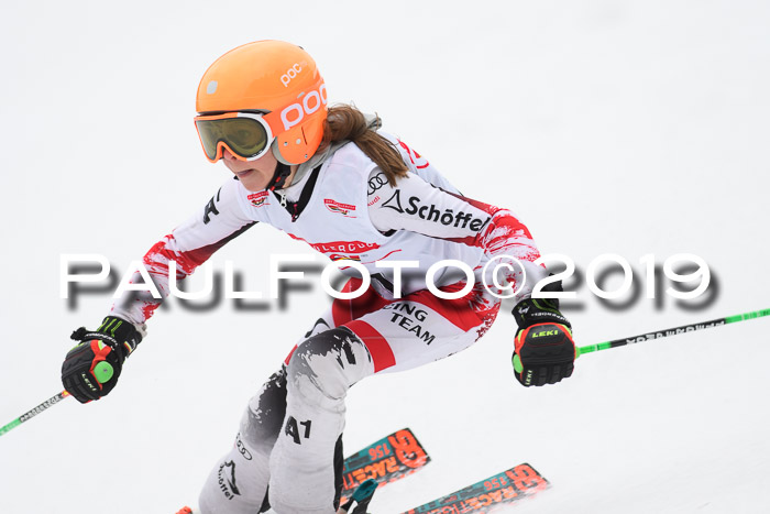 DSV Deutscher Schülercup U12 Finale 2019, Race Cross 02.03.2019