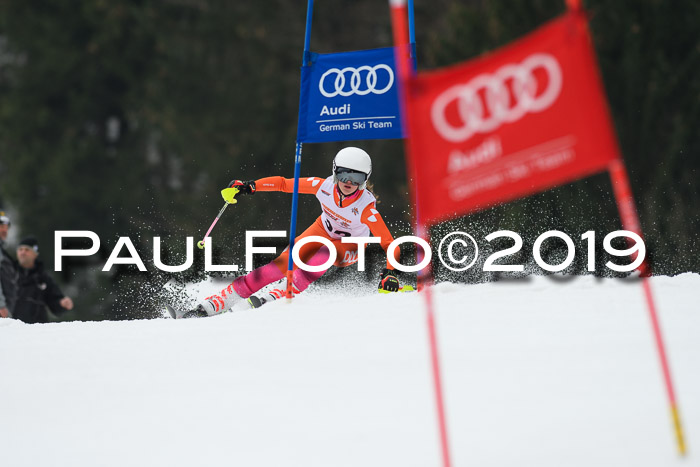 DSV Deutscher Schülercup U12 Finale 2019, Race Cross 02.03.2019