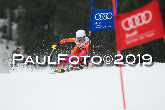 DSV Deutscher Schülercup U12 Finale 2019, Race Cross 02.03.2019