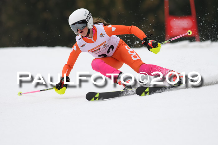 DSV Deutscher Schülercup U12 Finale 2019, Race Cross 02.03.2019