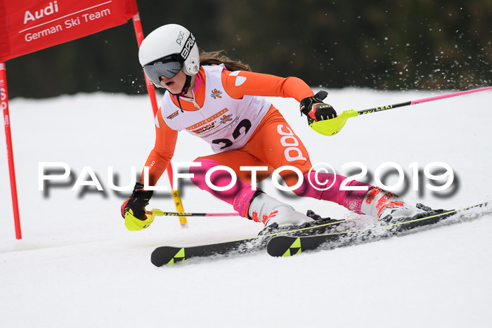 DSV Deutscher Schülercup U12 Finale 2019, Race Cross 02.03.2019