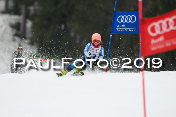 DSV Deutscher Schülercup U12 Finale 2019, Race Cross 02.03.2019