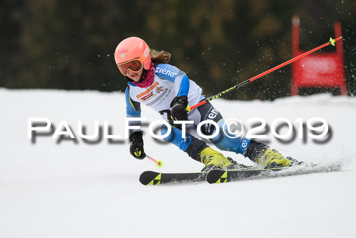 DSV Deutscher Schülercup U12 Finale 2019, Race Cross 02.03.2019