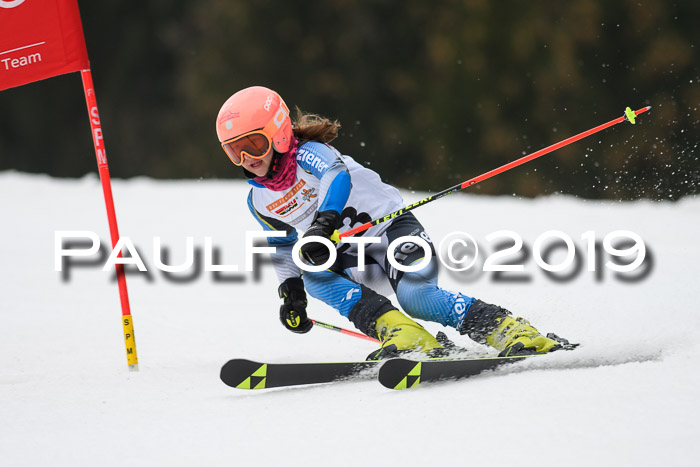 DSV Deutscher Schülercup U12 Finale 2019, Race Cross 02.03.2019