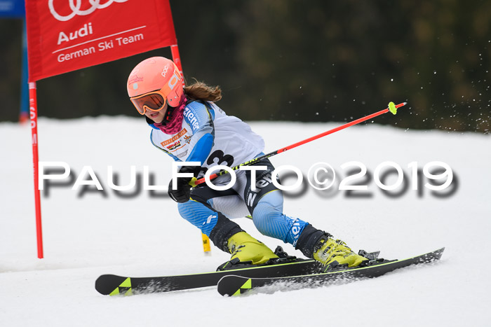 DSV Deutscher Schülercup U12 Finale 2019, Race Cross 02.03.2019