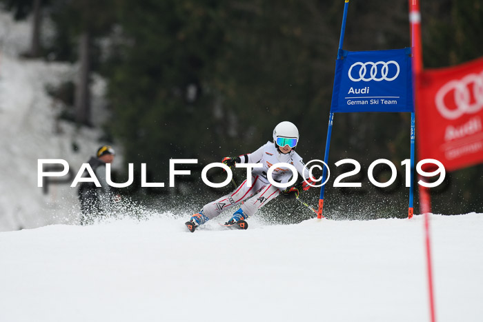 DSV Deutscher Schülercup U12 Finale 2019, Race Cross 02.03.2019