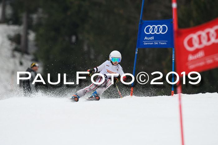 DSV Deutscher Schülercup U12 Finale 2019, Race Cross 02.03.2019