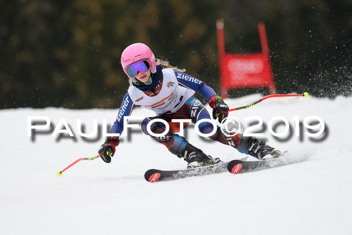 DSV Deutscher Schülercup U12 Finale 2019, Race Cross 02.03.2019