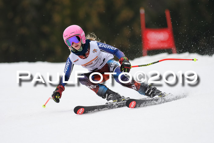 DSV Deutscher Schülercup U12 Finale 2019, Race Cross 02.03.2019