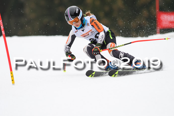 DSV Deutscher Schülercup U12 Finale 2019, Race Cross 02.03.2019