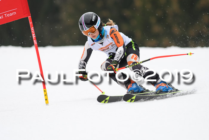 DSV Deutscher Schülercup U12 Finale 2019, Race Cross 02.03.2019