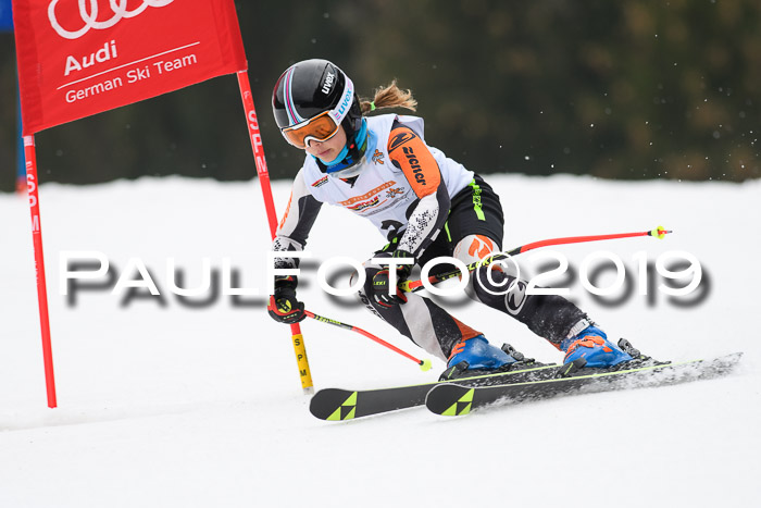 DSV Deutscher Schülercup U12 Finale 2019, Race Cross 02.03.2019