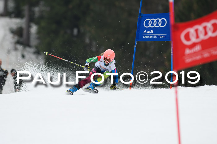 DSV Deutscher Schülercup U12 Finale 2019, Race Cross 02.03.2019