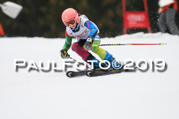 DSV Deutscher Schülercup U12 Finale 2019, Race Cross 02.03.2019