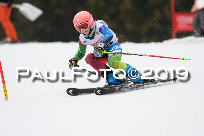 DSV Deutscher Schülercup U12 Finale 2019, Race Cross 02.03.2019