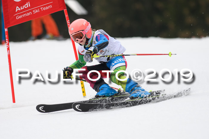 DSV Deutscher Schülercup U12 Finale 2019, Race Cross 02.03.2019