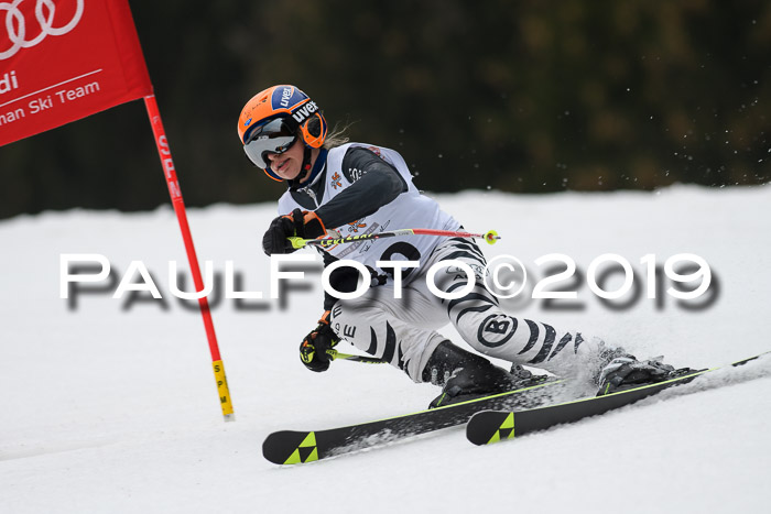 DSV Deutscher Schülercup U12 Finale 2019, Race Cross 02.03.2019