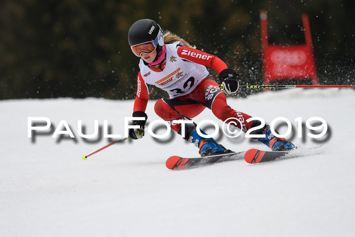 DSV Deutscher Schülercup U12 Finale 2019, Race Cross 02.03.2019