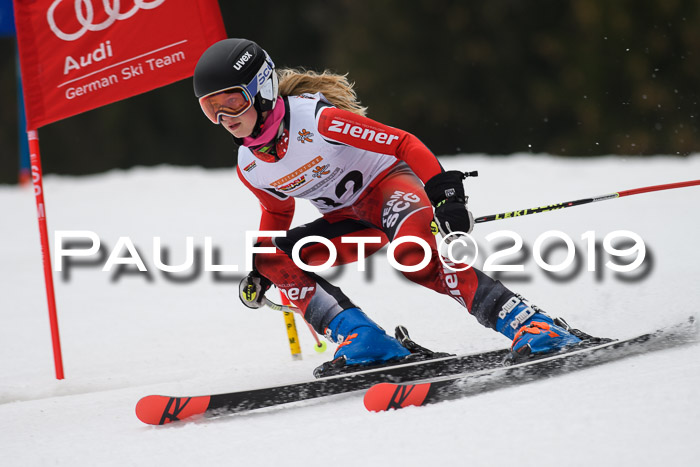 DSV Deutscher Schülercup U12 Finale 2019, Race Cross 02.03.2019