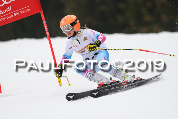 DSV Deutscher Schülercup U12 Finale 2019, Race Cross 02.03.2019