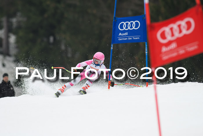 DSV Deutscher Schülercup U12 Finale 2019, Race Cross 02.03.2019