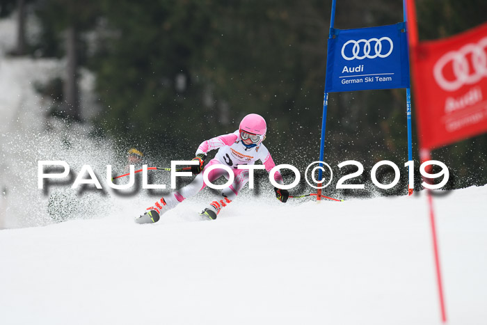 DSV Deutscher Schülercup U12 Finale 2019, Race Cross 02.03.2019