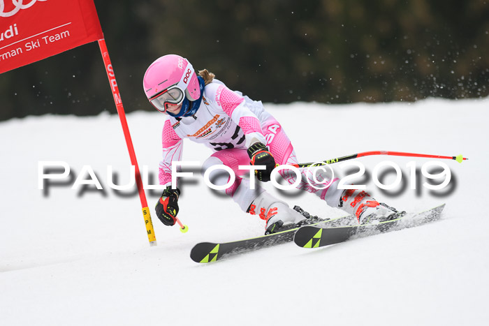 DSV Deutscher Schülercup U12 Finale 2019, Race Cross 02.03.2019