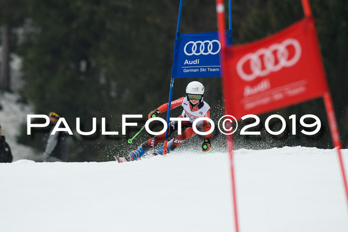 DSV Deutscher Schülercup U12 Finale 2019, Race Cross 02.03.2019