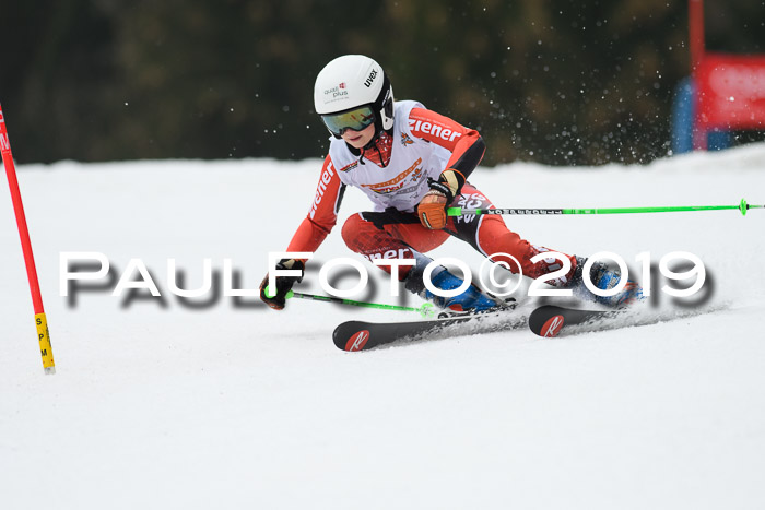 DSV Deutscher Schülercup U12 Finale 2019, Race Cross 02.03.2019