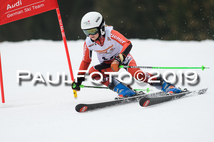 DSV Deutscher Schülercup U12 Finale 2019, Race Cross 02.03.2019