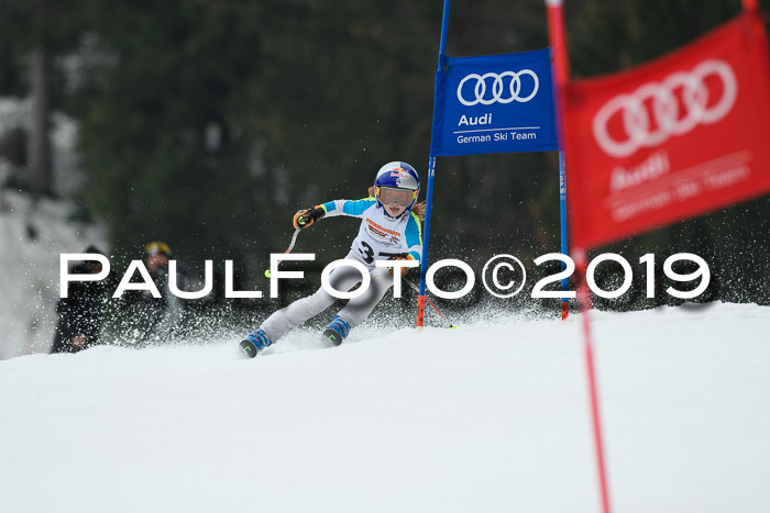 DSV Deutscher Schülercup U12 Finale 2019, Race Cross 02.03.2019
