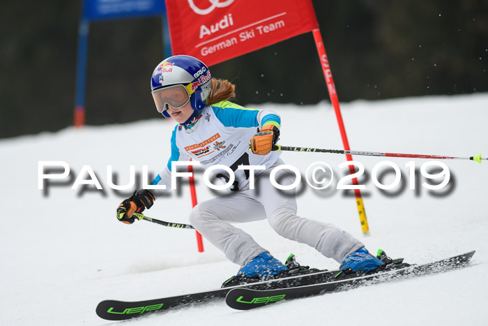 DSV Deutscher Schülercup U12 Finale 2019, Race Cross 02.03.2019
