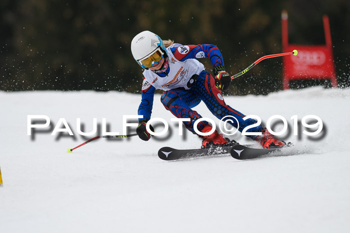 DSV Deutscher Schülercup U12 Finale 2019, Race Cross 02.03.2019