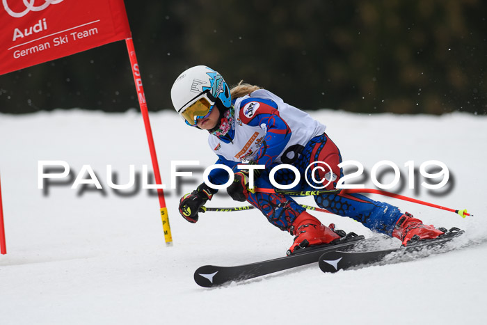 DSV Deutscher Schülercup U12 Finale 2019, Race Cross 02.03.2019
