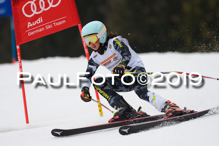 DSV Deutscher Schülercup U12 Finale 2019, Race Cross 02.03.2019